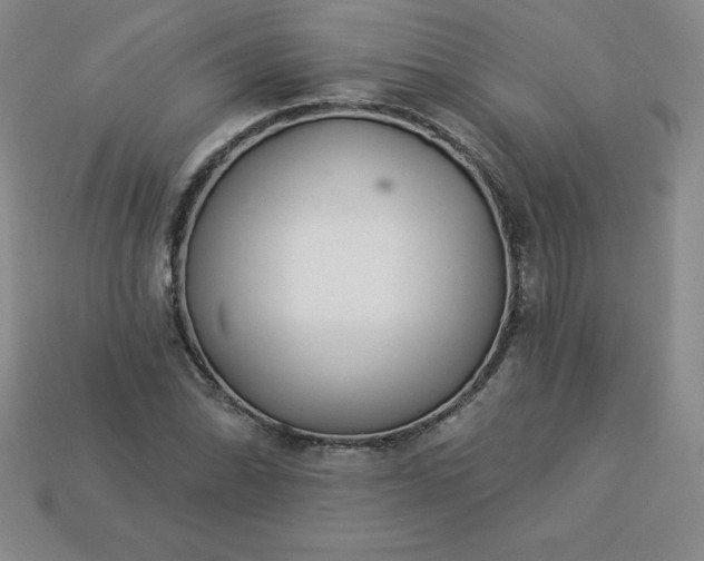 X0000113921070200910090931