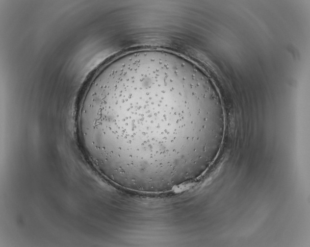 X0000113921071200910090931