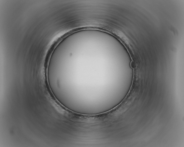 X0000113921072200910090931