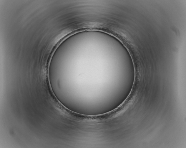 X0000113921073200910090931