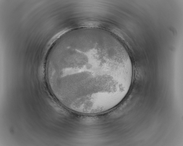 X0000113921074200910090931