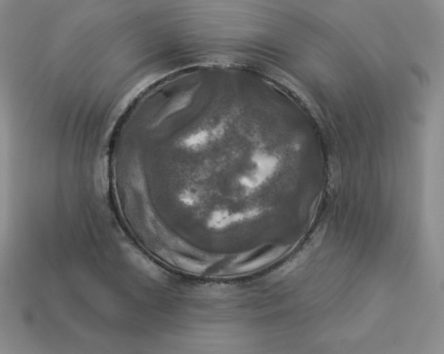 X0000113921075200910090931