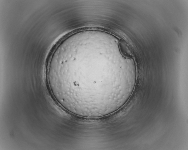 X0000113921076200910090931