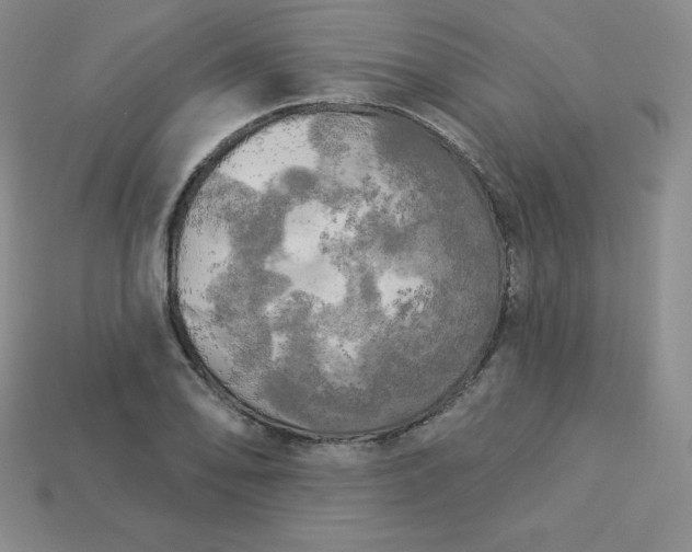 X0000113921078200910090931