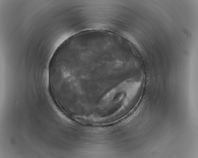 X0000113921079200910090931