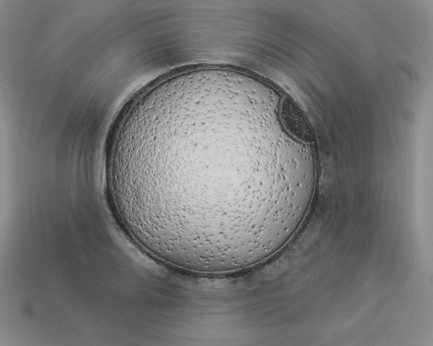 X0000113921080200910090931