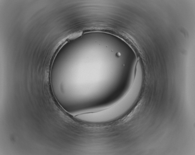X0000113921081200910090931