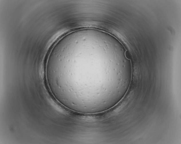 X0000113921082200910090931