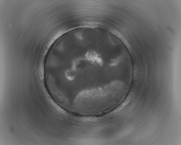 X0000113921083200910090931