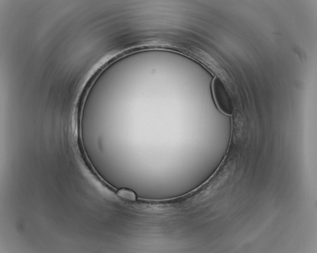 X0000113921084200910090931