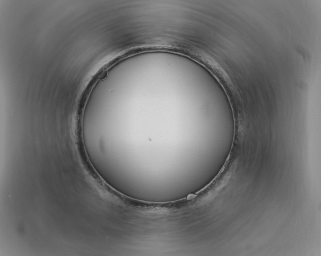 X0000113921085200910090931