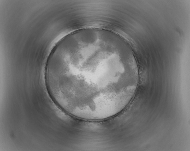 X0000113921086200910090931
