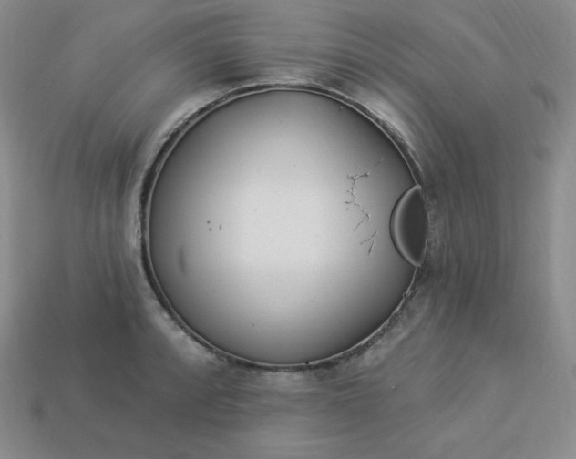 X0000113921088200910090931