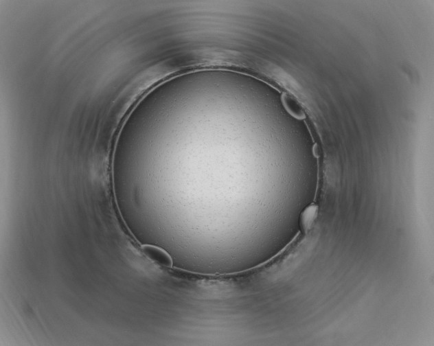 X0000113921089200910090931
