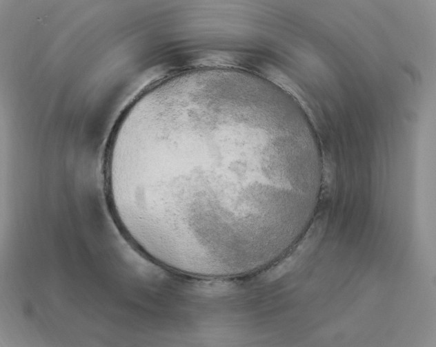 X0000113921090200910090931