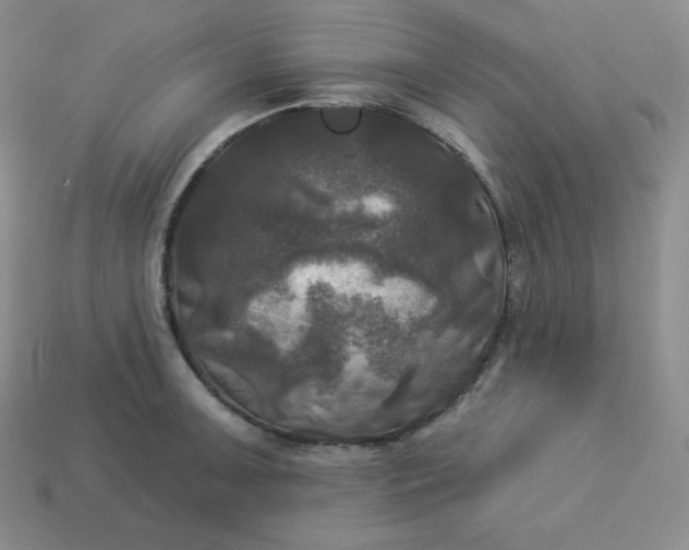X0000113921091200910090931