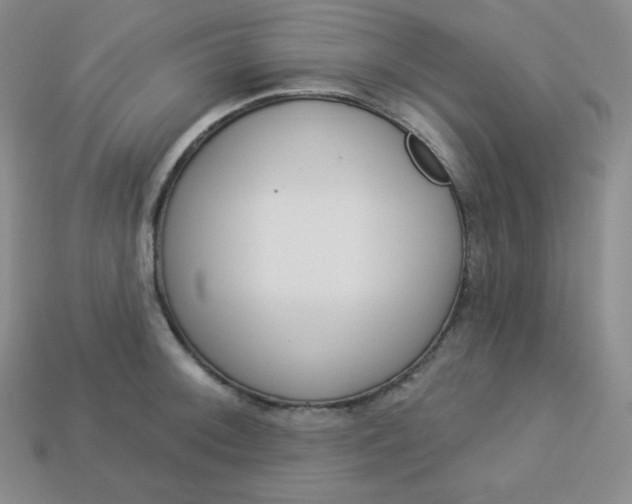X0000113921092200910090931