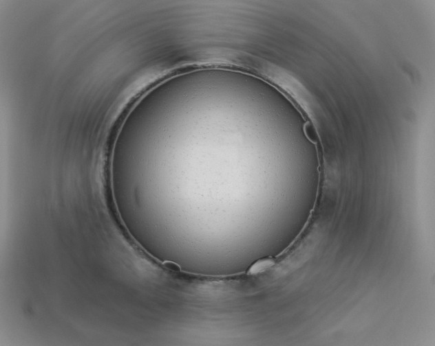 X0000113921093200910090931