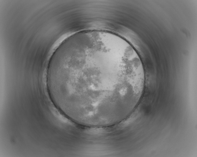 X0000113921094200910090931