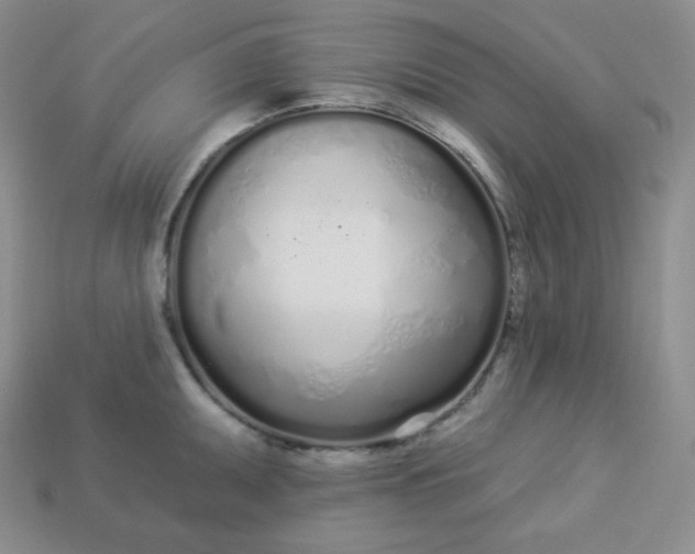 X0000113921095200910090931