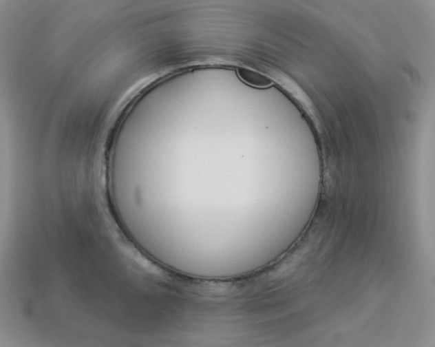 X0000113921096200910090931