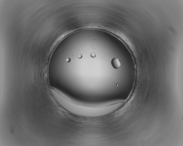X0000113921097200910090931