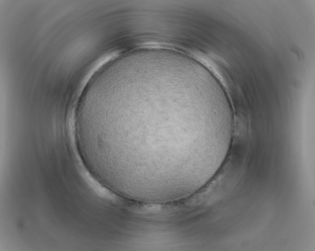 X0000113921098200910090931