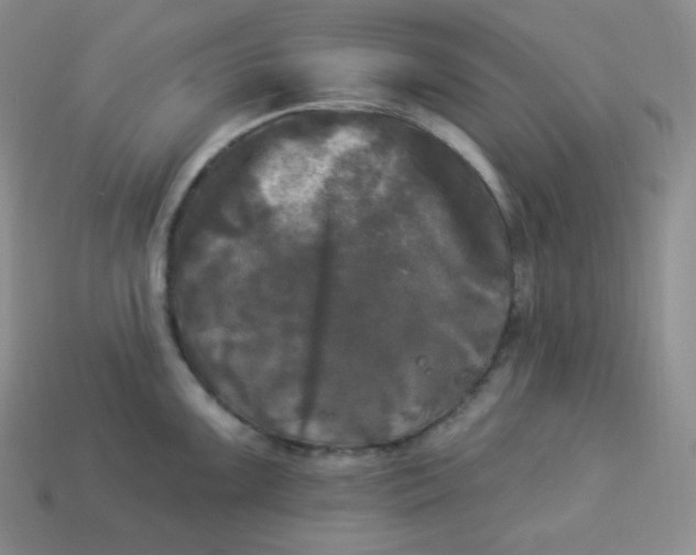 X0000113921099200910090931