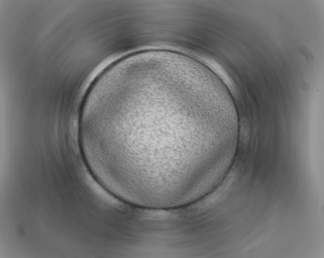 X0000113921100200910090931