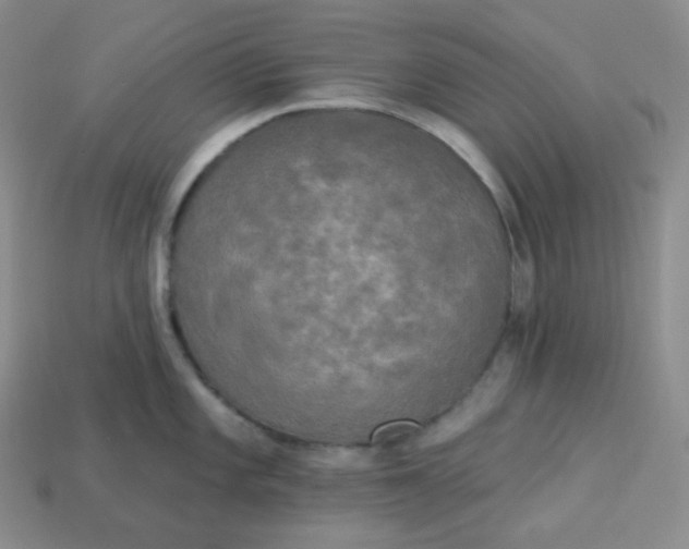 X0000113921101200910090931
