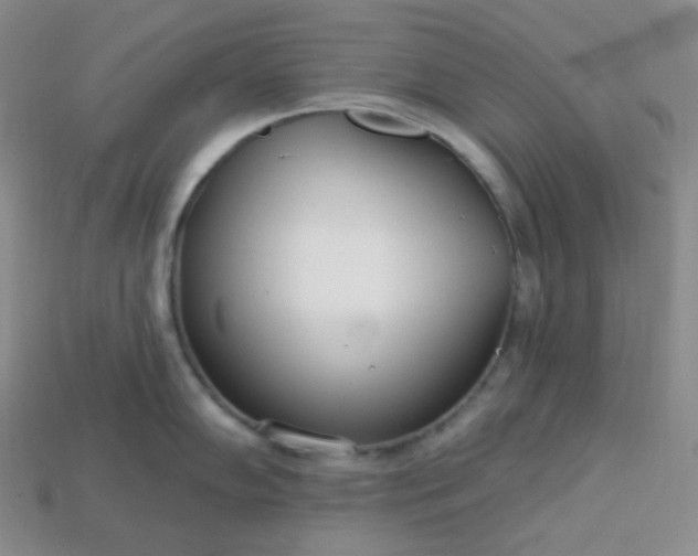 X0000113921102200910090931