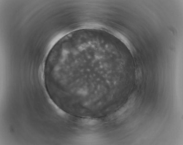 X0000113921103200910090931