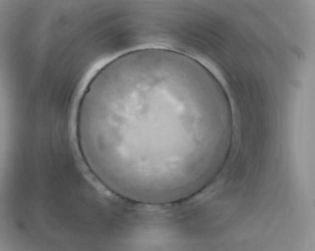 X0000113921104200910090931