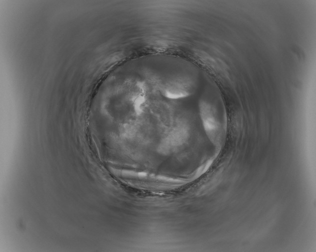 X0000113921105200910090930