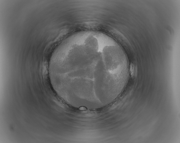 X0000113921107200910090930