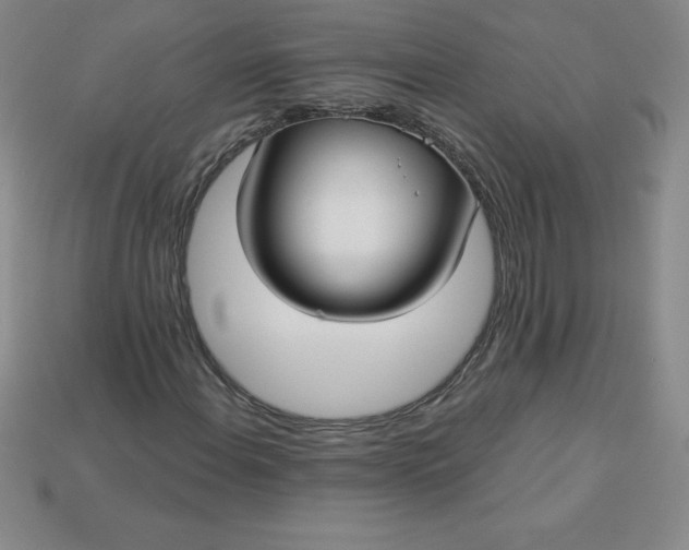 X0000113921108200910090930