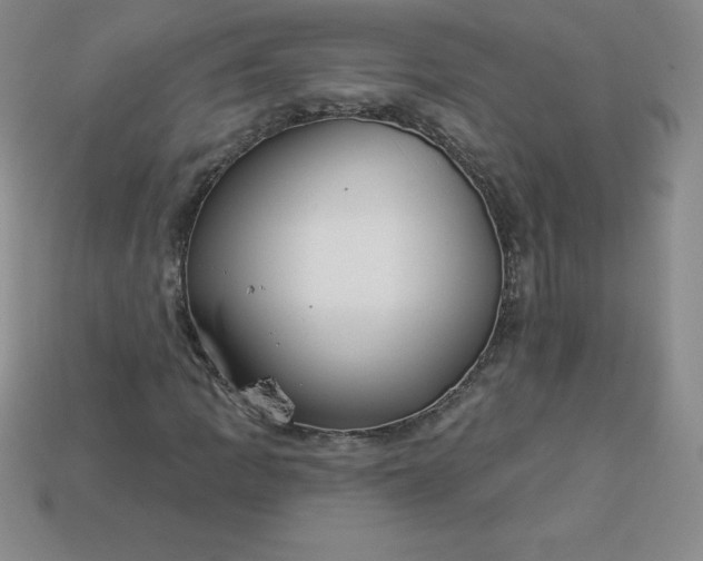 X0000113921109200910090930