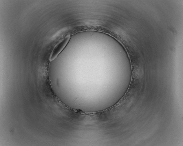 X0000113921110200910090930
