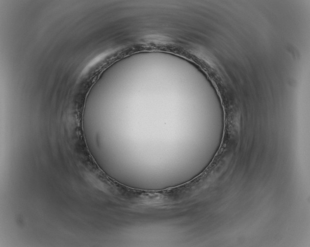 X0000113921112200910090930