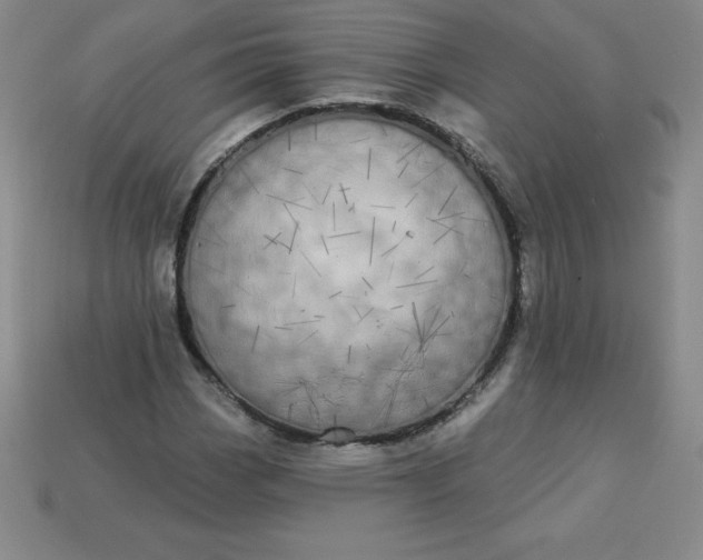 X0000113921113200910090930