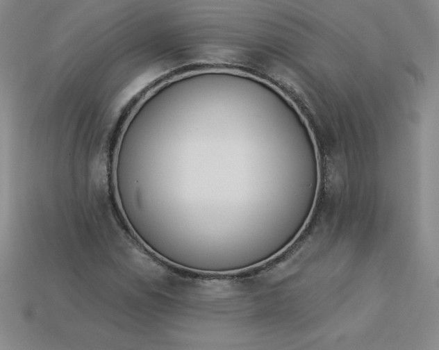 X0000113921114200910090930