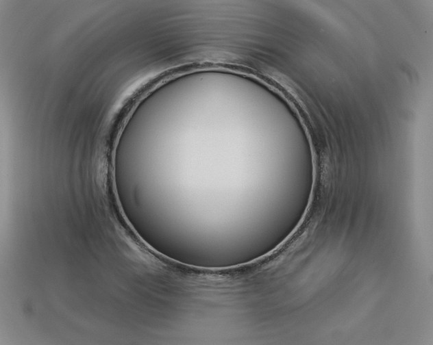 X0000113921115200910090930
