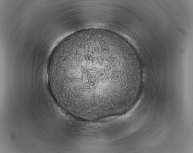 X0000113921117200910090930