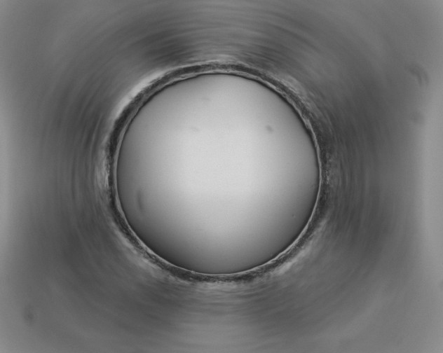 X0000113921118200910090930