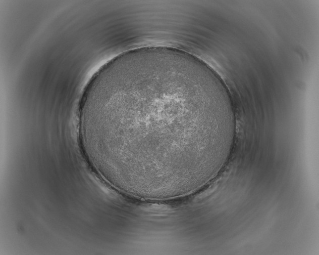 X0000113921119200910090930