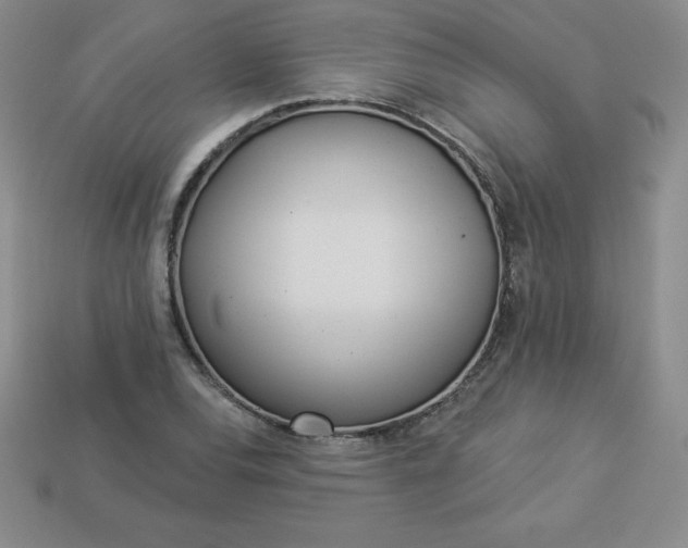 X0000113921120200910090930