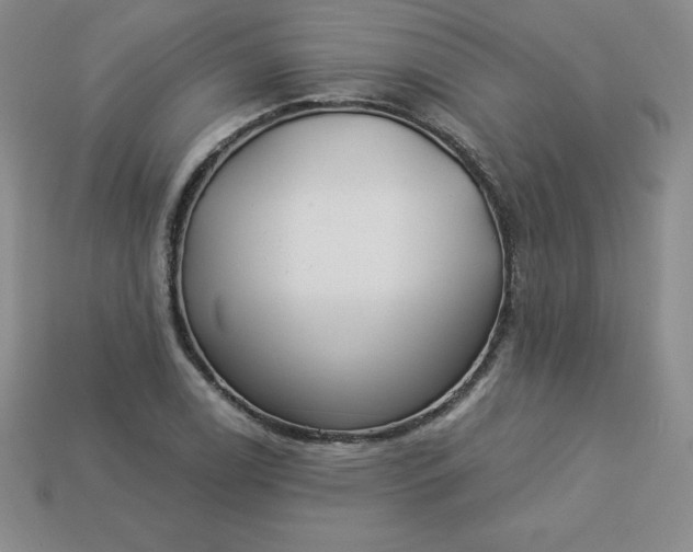 X0000113921122200910090931