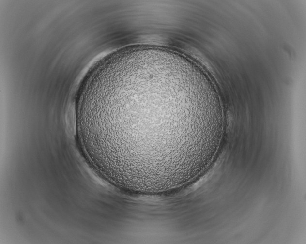 X0000113921123200910090931
