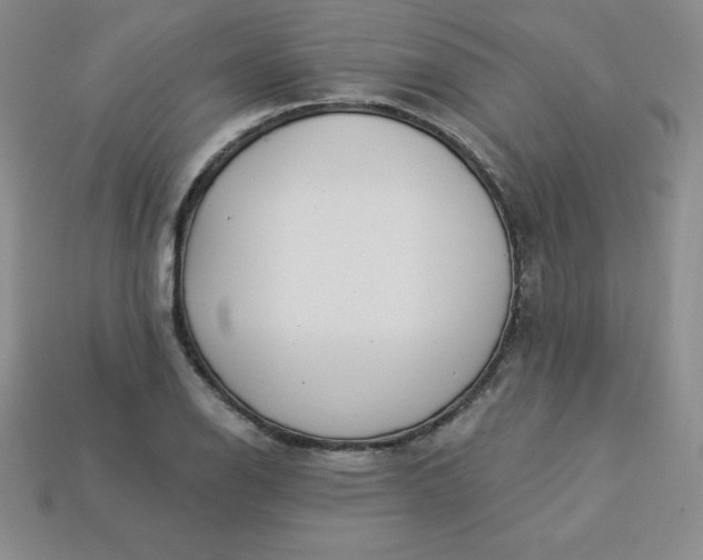 X0000113921126200910090931