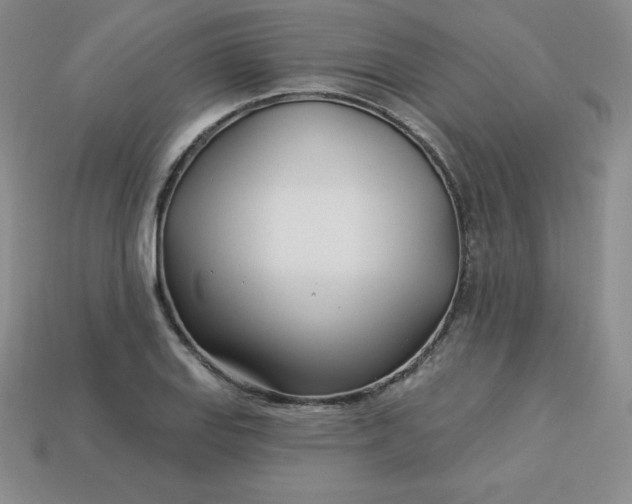 X0000113921127200910090931